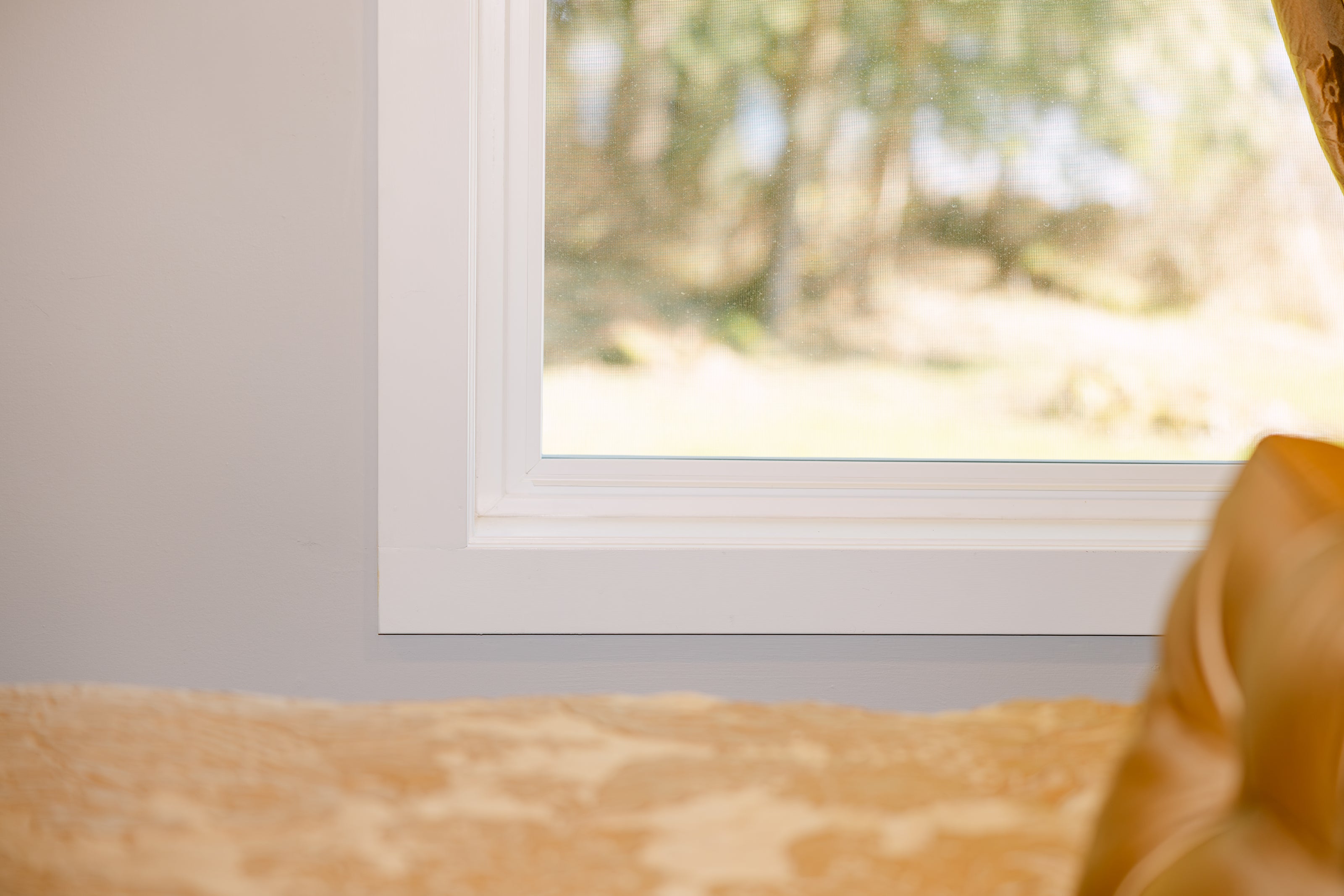 horizontal view of clear window