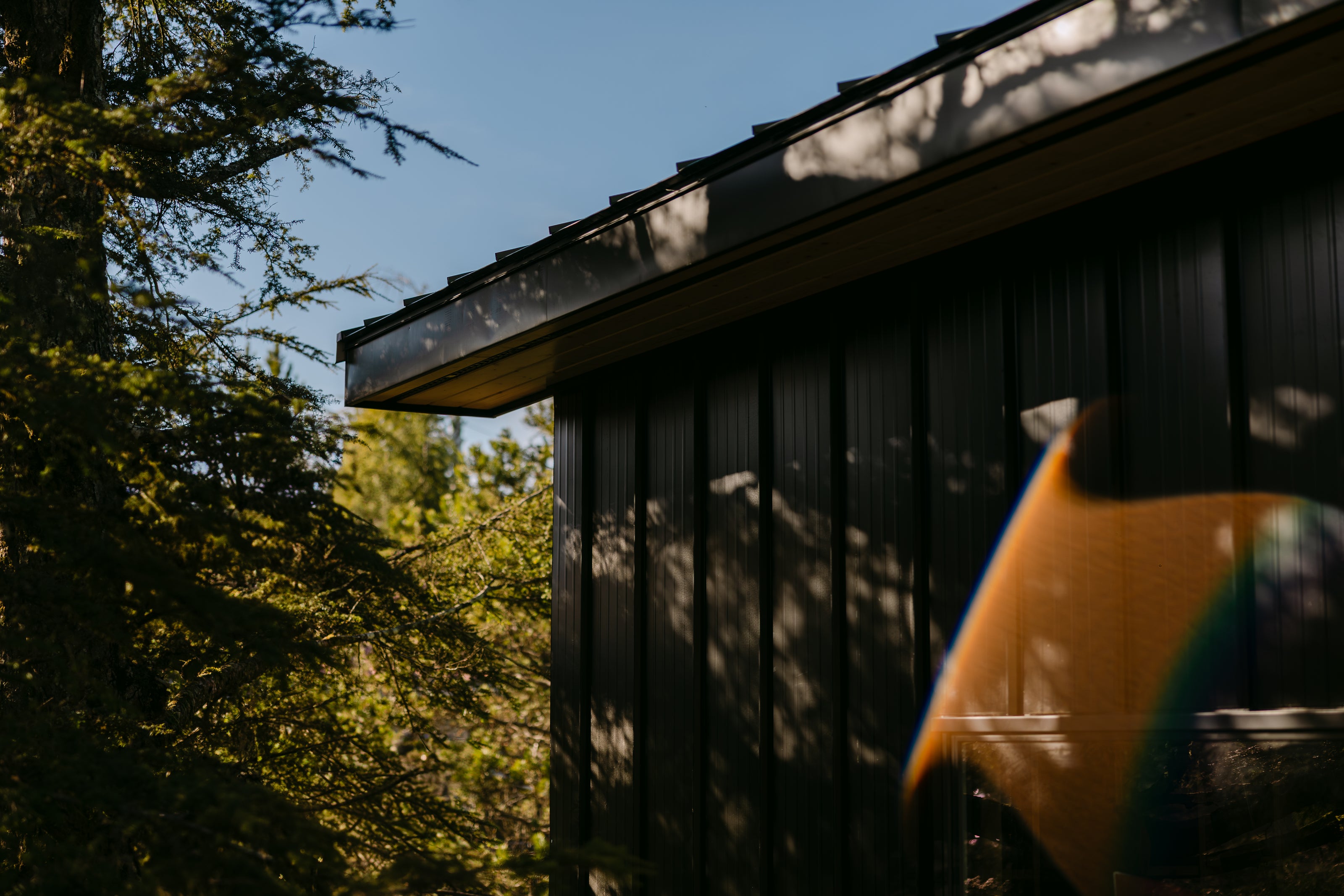 A modern dark house surrounded by nature