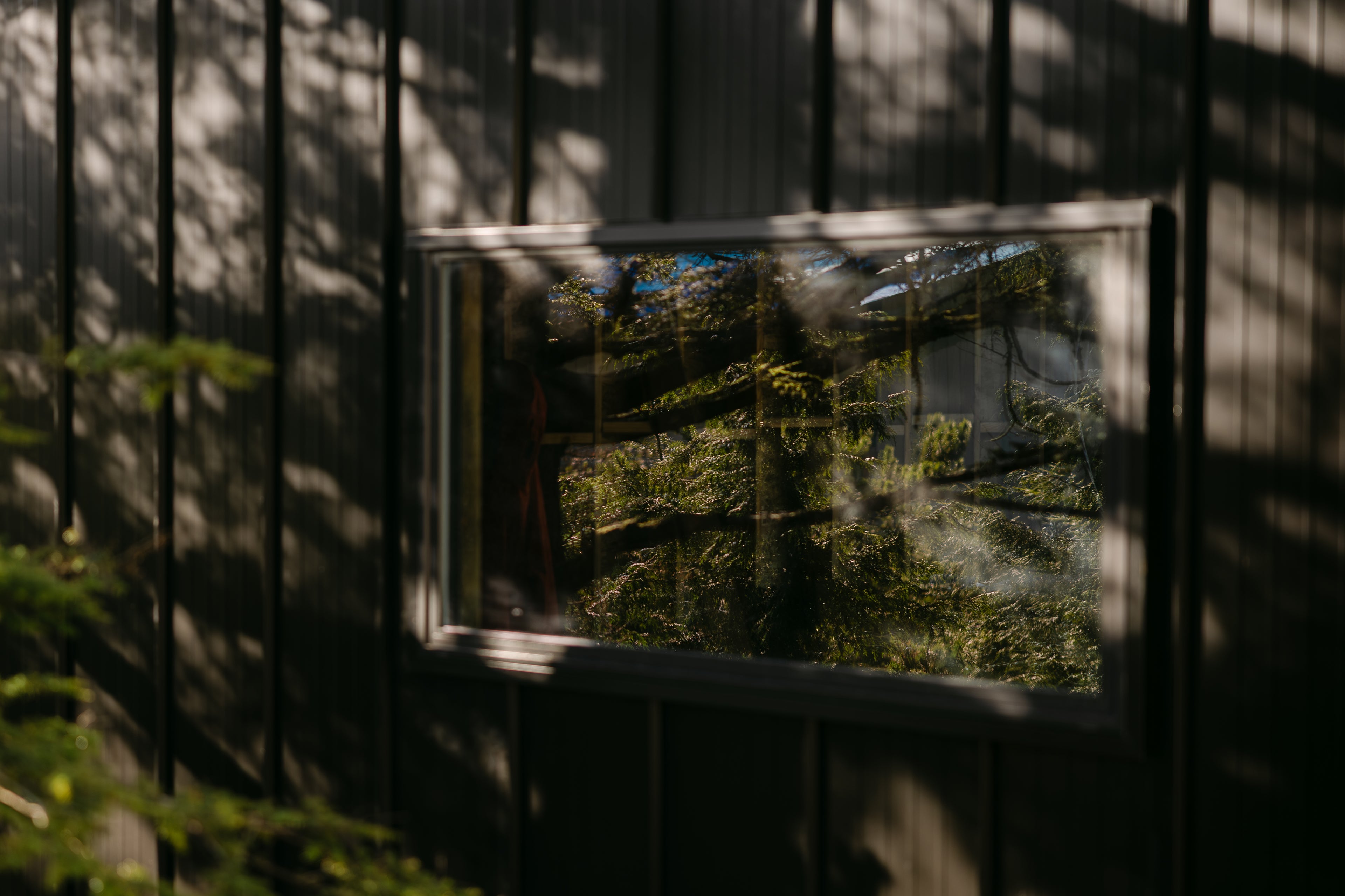 Window with a view of lush green trees outside